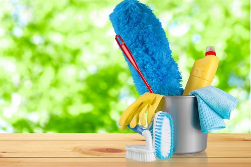 Professional cleaners in Highbury working in a clean modern home