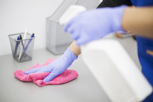 Professional cleaner starting a domestic cleaning service in Highbury
