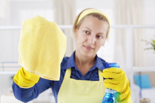 Deep cleaning service for Highbury properties