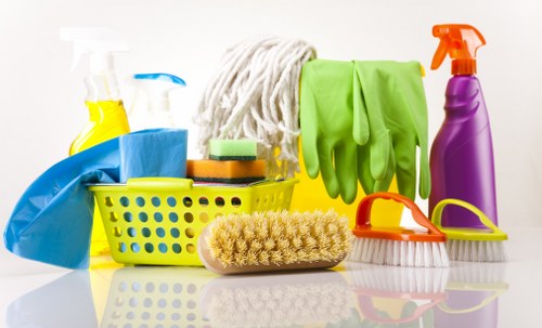 Eco-friendly cleaning company service in a modern home