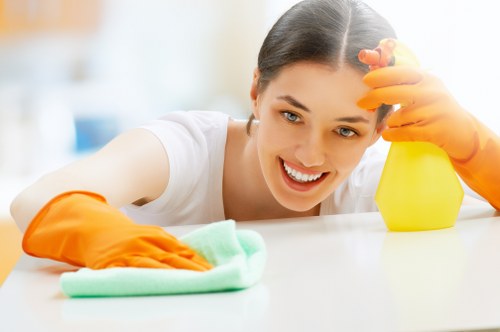 Professional end of tenancy cleaning in a rental living room