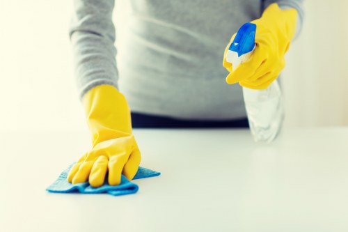 Eco-friendly carpet cleaning setup with professional equipment and cleaning solutions