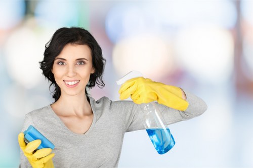 Trained cleaner using approved products in a domestic setting