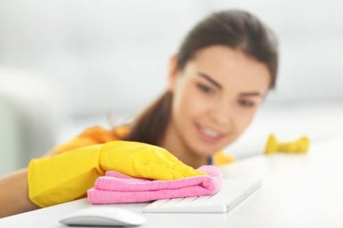 Cleaner vacuuming fabric sofa upholstery