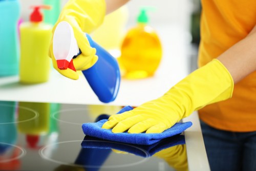 Cleaner sanitizing a bathroom as part of domestic cleaning service
