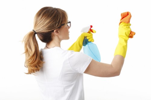 House cleaning team sanitizing bathroom fixtures in a modern home