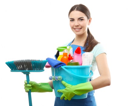 Window cleaning equipment prepared for a professional cleaning job
