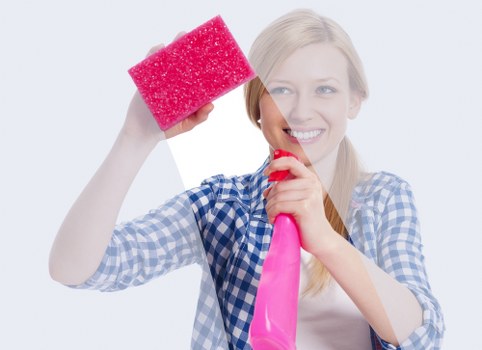 Professional cleaning tools prepared for a home service
