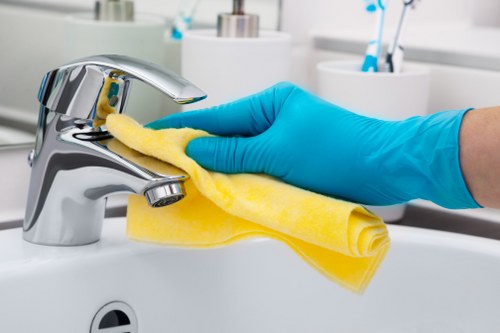 Different oven cleaner types for home and commercial cleaning