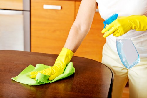 Interior window cleaning with streak-free glass and polished frames